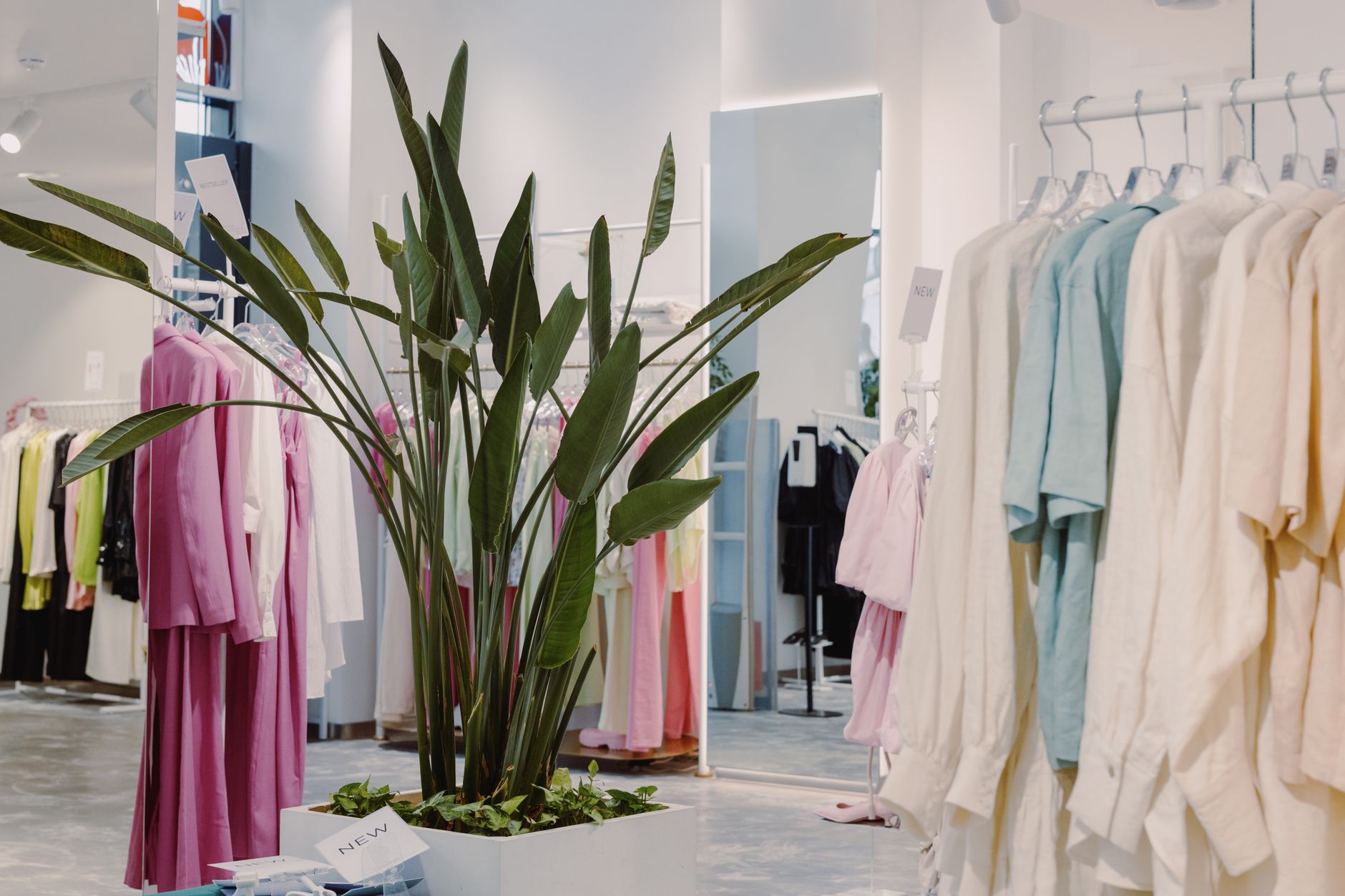 Jasny butik z pastelową odzieżą i zieloną rośliną pośrodku
